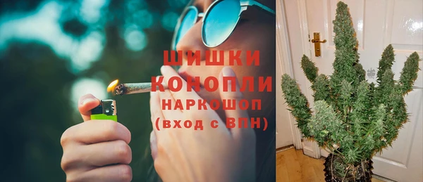 спиды Новозыбков