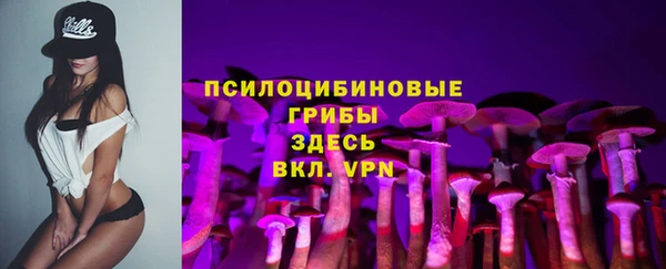 спиды Новозыбков