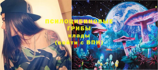 твердый Няндома