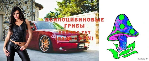 синтетический гашиш Новодвинск