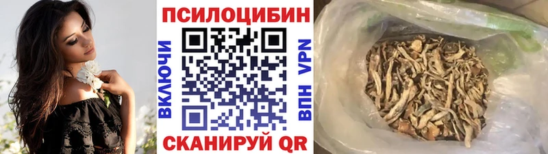 Галлюциногенные грибы GOLDEN TEACHER  kraken как войти  Биробиджан 
