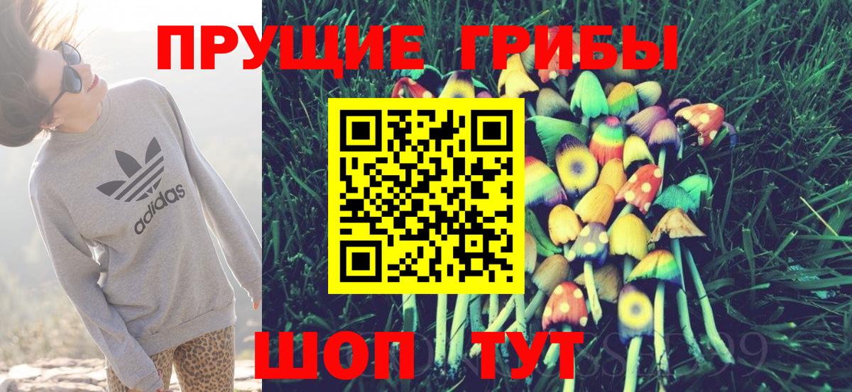 Галлюциногенные грибы Cubensis Биробиджан