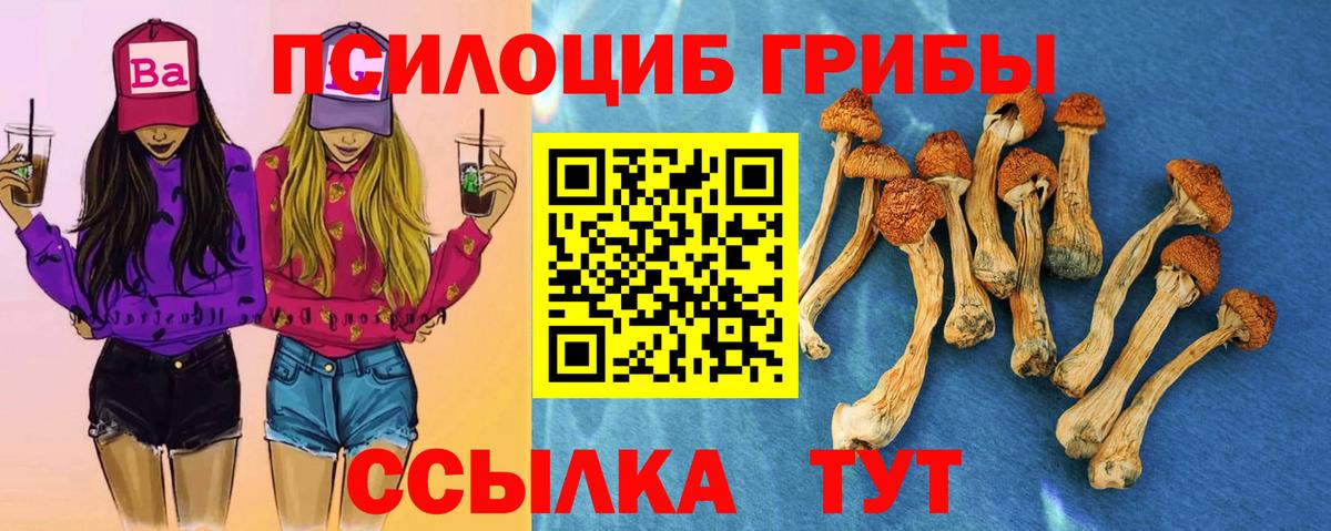 Псилоцибиновые грибы мицелий Биробиджан