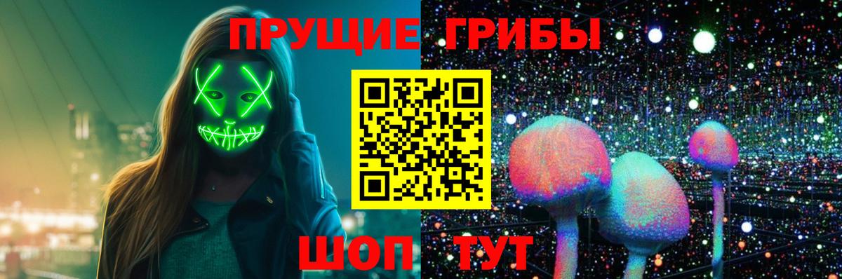 наркота  Вход с VPN  Биробиджан  Галлюциногенные грибы ЛСД  Псилоцибиновые грибы Psilocybe 